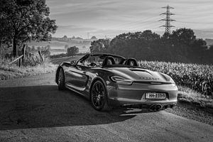 Porsche Boxster GTS Typ 981
