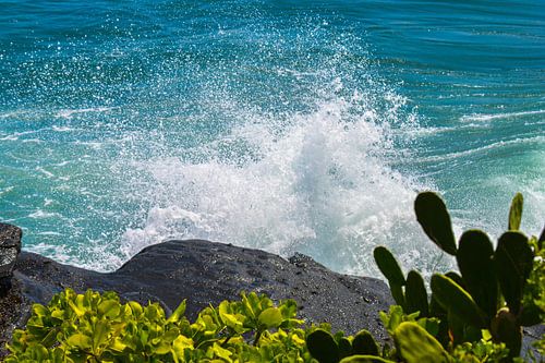 Tropisches Meer