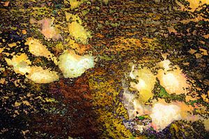 Goldene Pfotenabdrücke