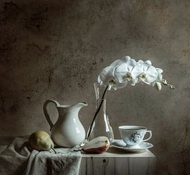 Elegantes Orchideen-Stillleben von Margareth Perfoncio