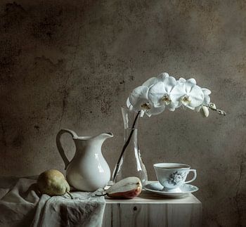 Nature morte élégante à l'orchidée