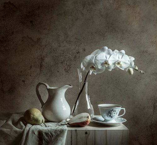 Nature morte élégante à l'orchidée