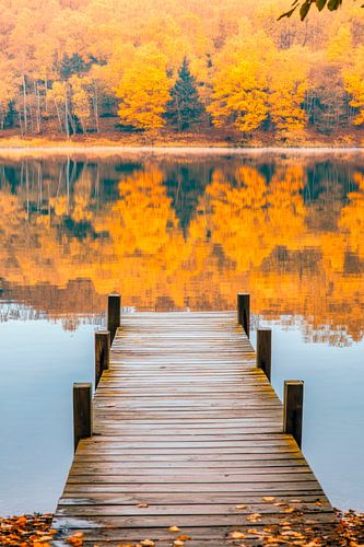 Herfst idylle