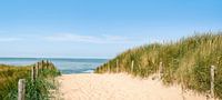 Chemin à travers les dunes jusqu’à la plage pendant une belle journée d’été par Sjoerd van der Wal Photographie Aperçu