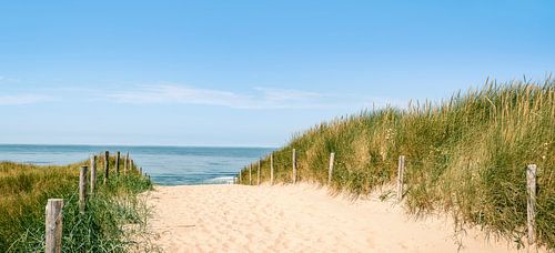 Chemin à travers les dunes jusqu’à la plage pendant une belle journée d’été