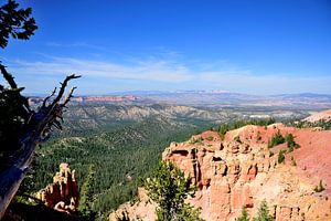 Zwischen Rainbow Point & Camp; Black Birch Canyon