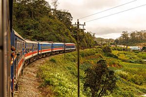 Zugreisen in Sri Lanka gehören zu den schönsten der Welt - insbesondere die Strecke von Kandy nach Ella.