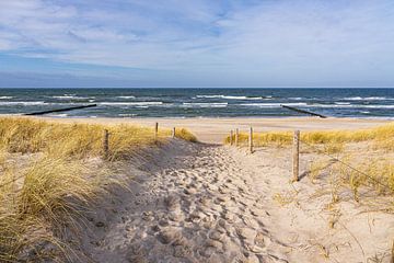 Strand an der Küste der Ostsee in der Nähe von Graal Müritz von Rico Ködder