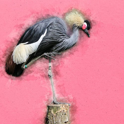 Crane