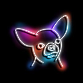 chihuahua neon art