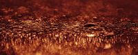 Eyecatcher abstracte fotografie: Panorama van waterdruppels