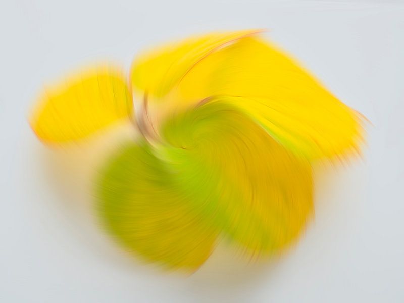 Verspielte Herbstfarben 3 von Jaap Tanis