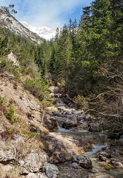 Frühlingshafte Berglandschaft im Wettersteingebirge mit grünen Wiesen und markanten Gipfeln. von Miriam Schwarzfischer Fotografie