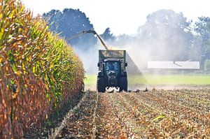 Maisoogst in een container met een tractor