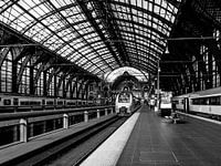 Beauty of antwerp
