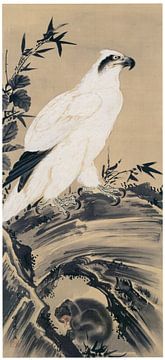 Kawanabe Kyōsai - Weißer Adler und Affe von Peter Balan