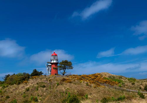 Long Way Up sur Wad of Wonders