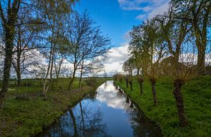 Schönes typisch holländisches Bild mit einem Graben und Weiden