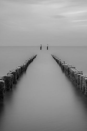 Strandpaaltjes Breskens