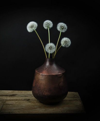 Modern still life flowers in a vase "dandelion fluff"