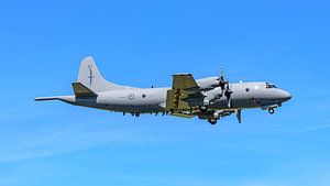 Royal New Zealand Air Force Lockheed P-3K Orion.