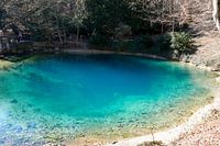 Van dichtbij van het meer Blautopf in Blaubeuren in Duitsland