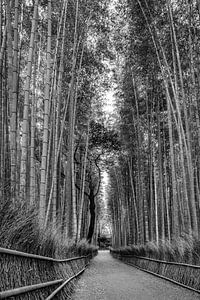 Gewaltiger Arashiyama Bambuswald | monochrom