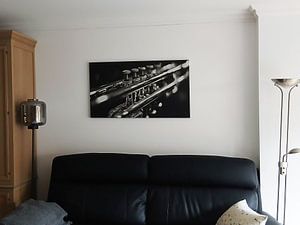 Musical instrument in black and white