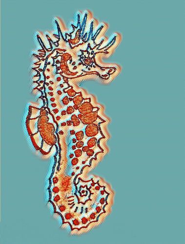 Seepferdchen (Zeichnung) digital bearbeitet