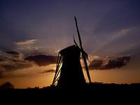 Windmolen de Grauwe Beer