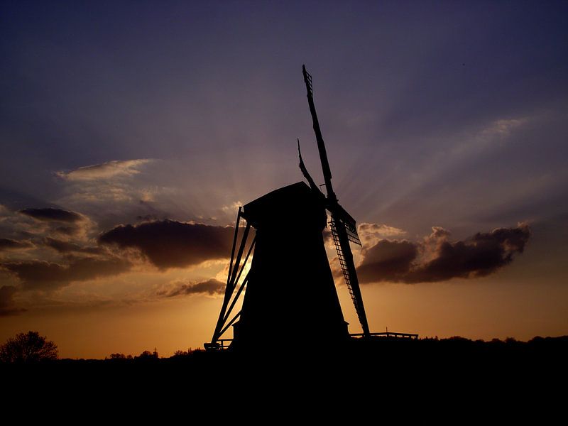 Windmolen de Grauwe Beer par Geert Heldens