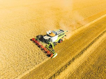 Moissonneuse-batteuse récoltant du blé en été sur Sjoerd van der Wal Photographie