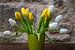 Witte en gele tulpen in zachtgroene vaas van Susan Hol