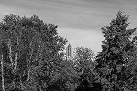 La cathédrale d'Utrecht vue depuis le pont Vollersbrug, le 14 octobre 2026 (en noir et blanc)