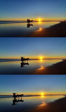 Calèches silhouette sur la plage au coucher du soleil-Triptyque sur kall3bu