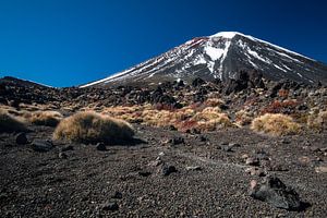 Mount Ngauruhoe, Tongariro, Nieuw-Zeeland van Martijn Smeets