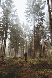 Bos Huis ter Heide by Rob Veldman