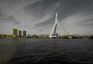 Erasmusbrücke Rotterdam von Brian Morgan Miniaturansicht