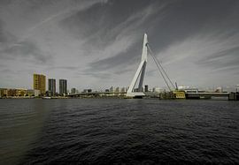Erasmusbrug Rotterdam van Brian Morgan