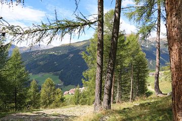 doorkijk van Italiaans Bos en Berg landschap 