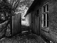 The old shed 
