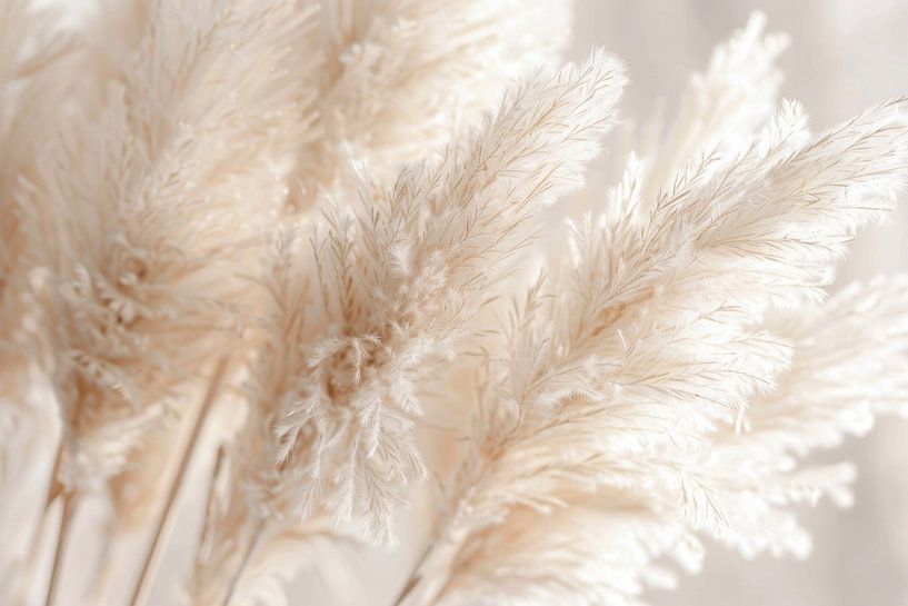 Pampas grass, beige tones, art, living room, nature, simple elegance, details, calming, harmonious, peaceful, decoration, timeless by Poster Art Shop