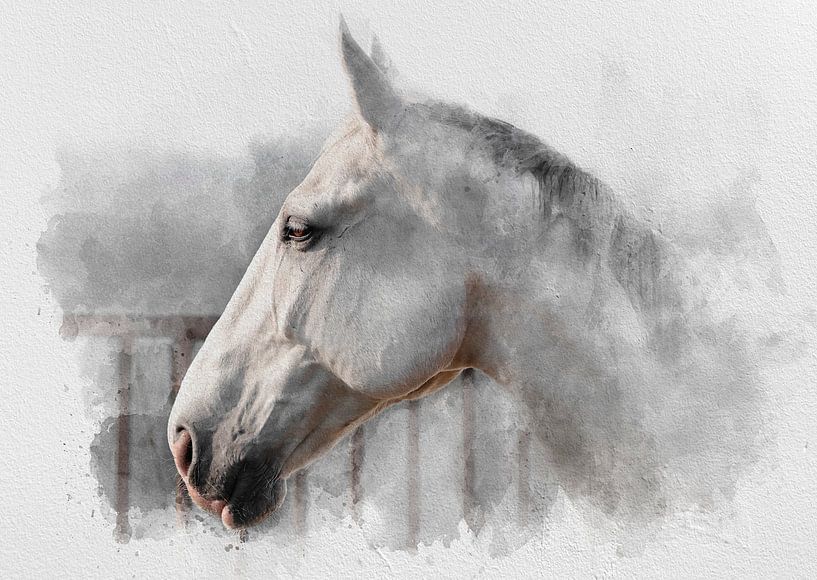Das weiße Pferd 01 von Olaf Bruhn
