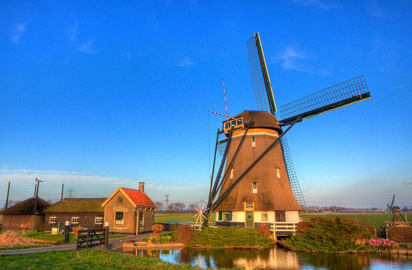 Een Oer-Hollandse  Molen von Dexter Reijsmeijer