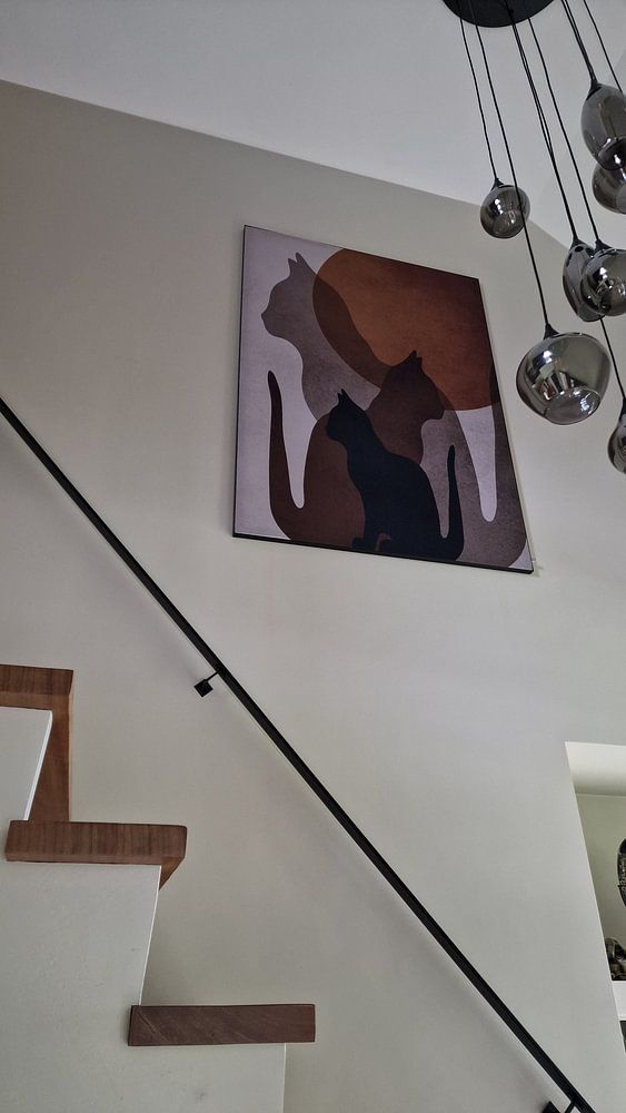 Les Chats  par Mirjam Duizendstra 