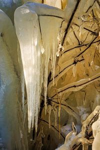 Ice sculpture