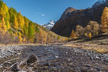 Een bergbeek met op de achtergrond de Monviso in de Alpen - Frankrijk