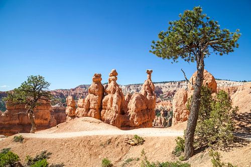 Prachtige BRYCE CANYON