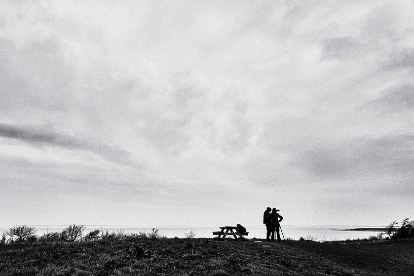 Best prospects by Heiko Westphalen