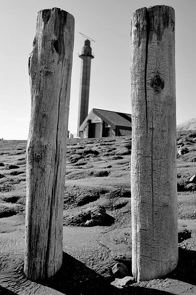 Middle van Sabrina Varao Carreiro